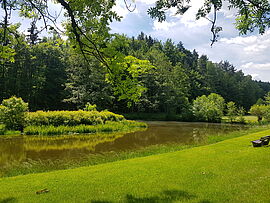Libellenteich im Krummbachtal Libellenteich im Krummbachtal